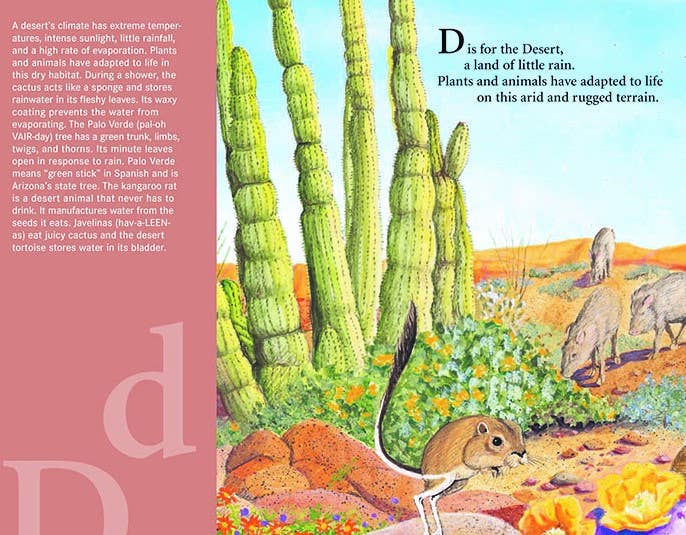 Sleeping Bear Press - G is for Grand Canyon picture book: An ARIZONA Alphabet