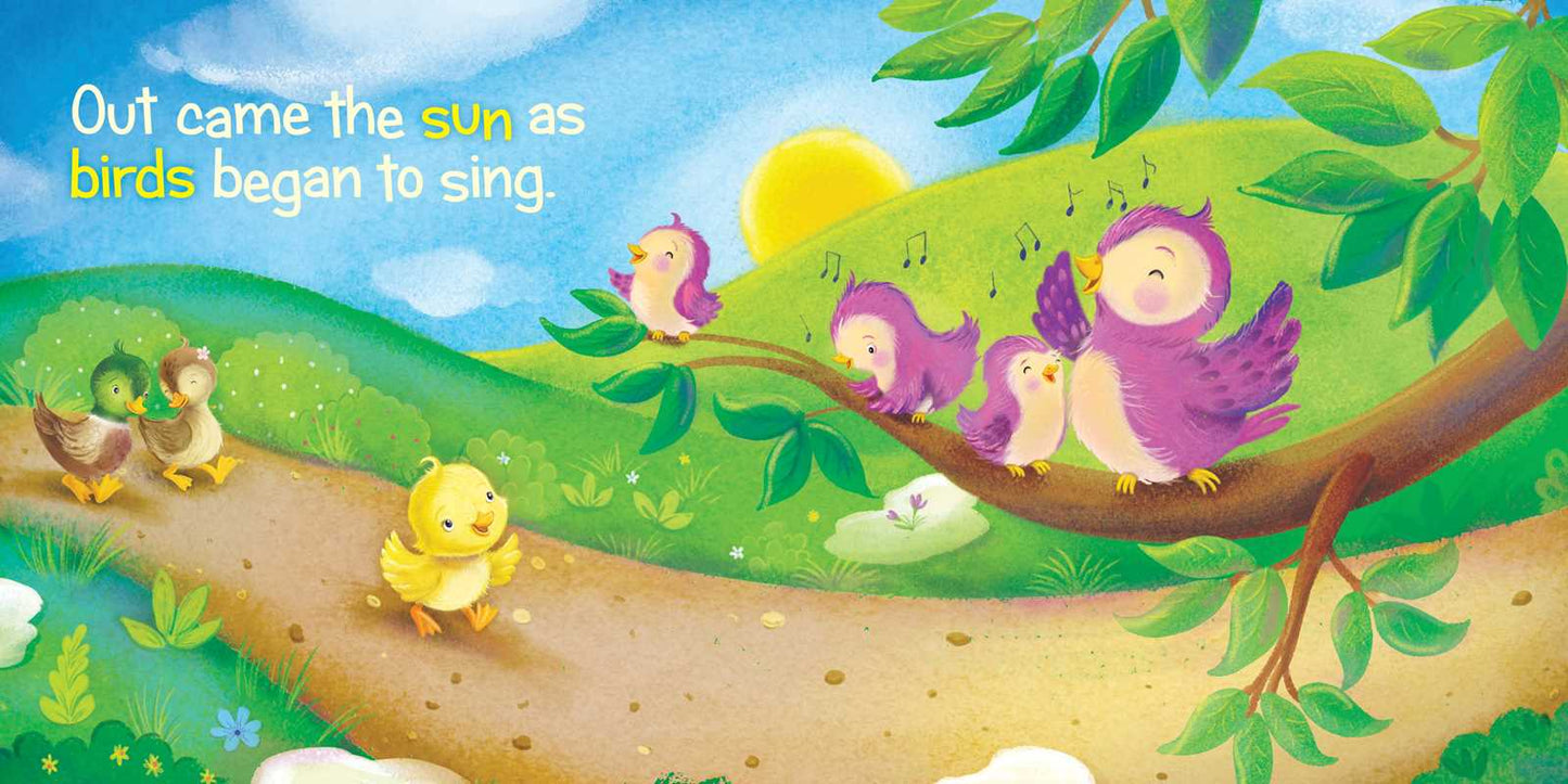 Simon & Schuster - Itsy Bitsy Duckling by Jeffrey Burton: Board Books; 16 pages / English
