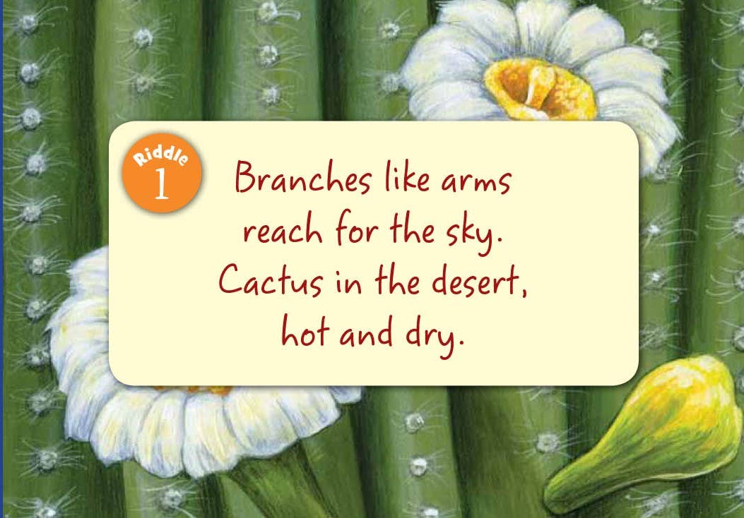 Sleeping Bear Press - Little Arizona Board Book