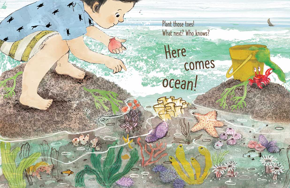 Simon & Schuster - Here Comes Ocean by Meg Fleming: Hardcover; 40 pages / English