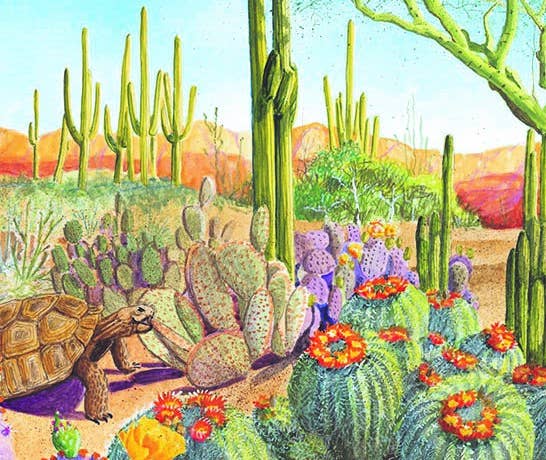 Sleeping Bear Press - G is for Grand Canyon picture book: An ARIZONA Alphabet