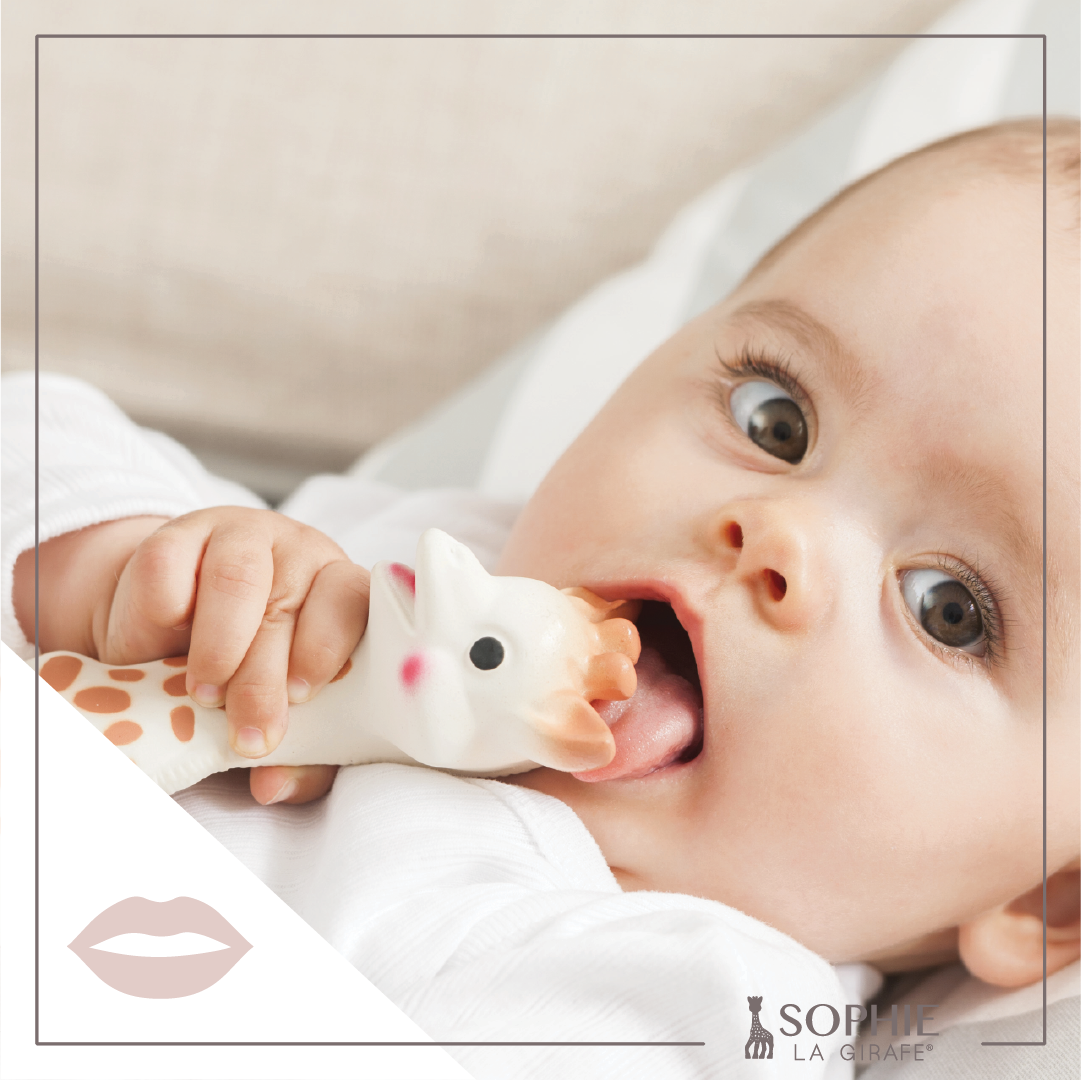 Sophie la Girafe by Calisson Toys. - Sophie La Girafe White Box- Classic