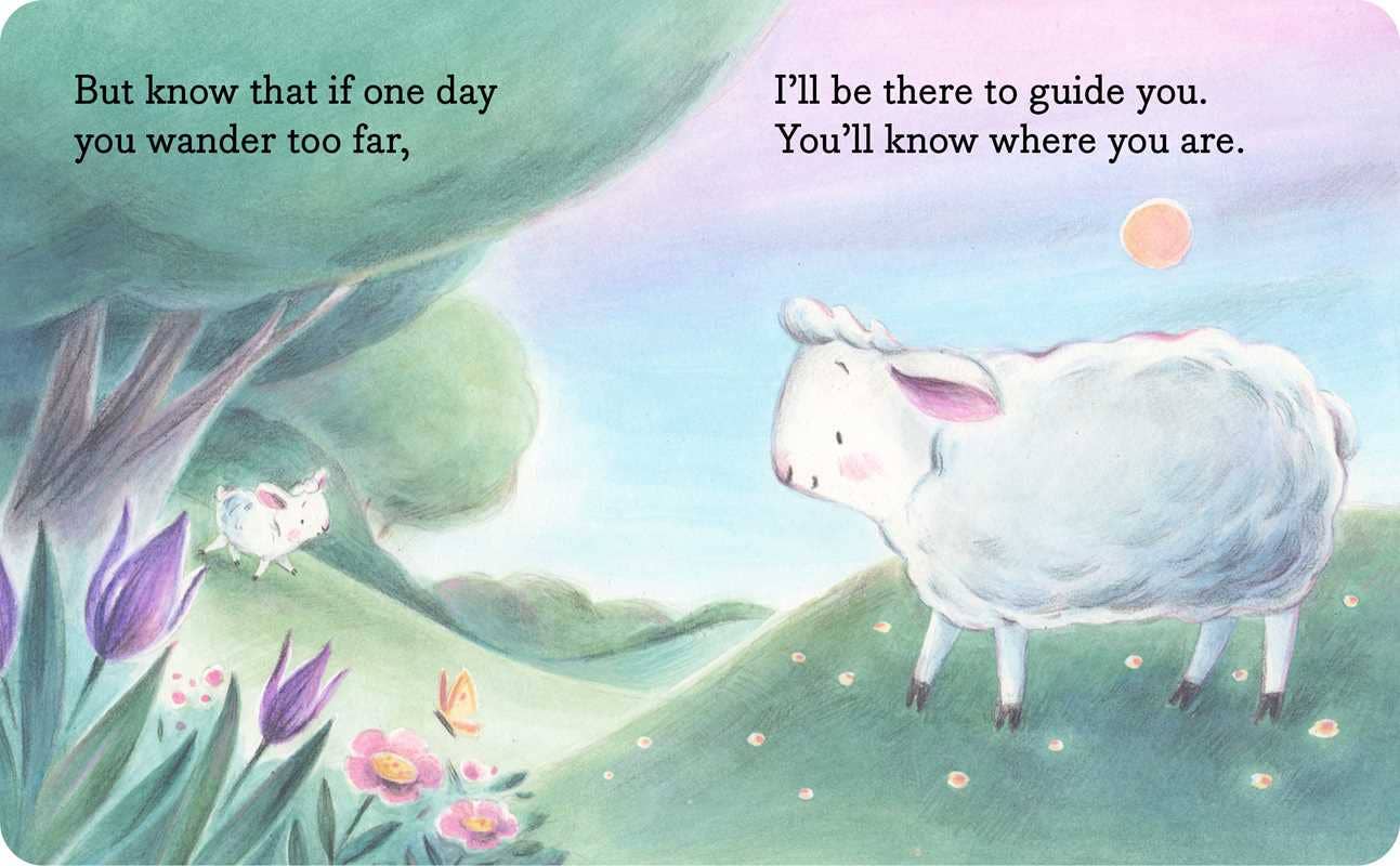 Simon & Schuster - My Little Lamb by Hannah Eliot: Board Books; 12 pages / English