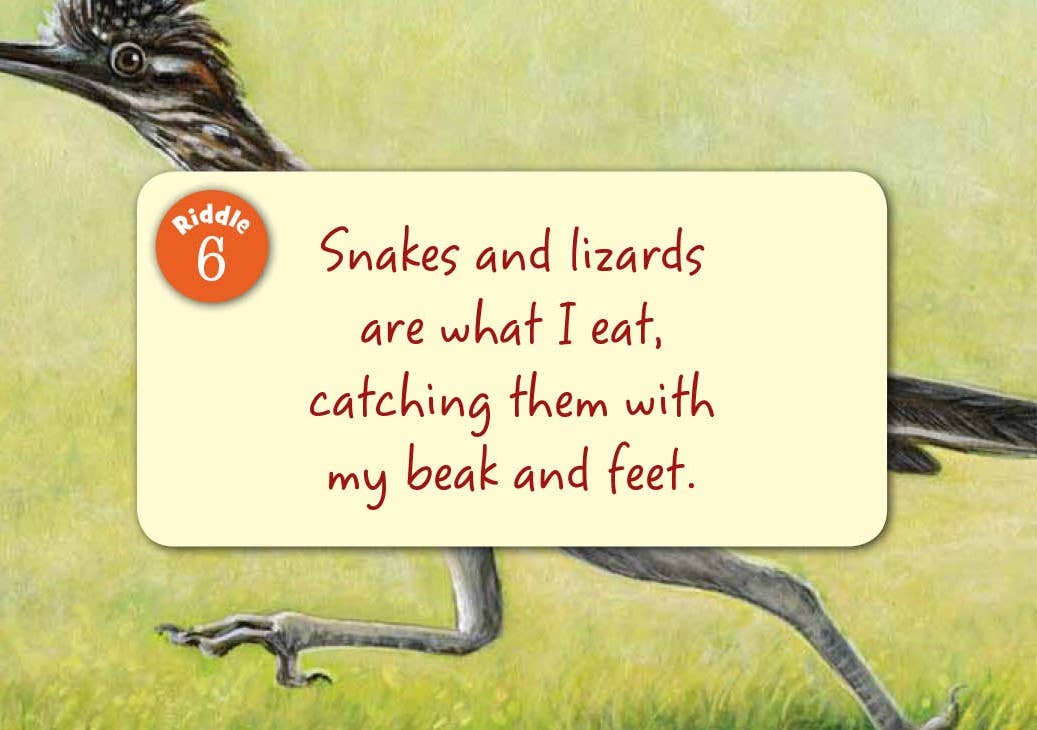 Sleeping Bear Press - Little Arizona Board Book