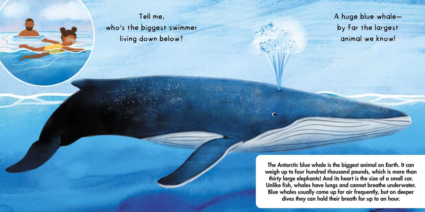 Simon & Schuster - Tell Me About Oceans by Lisa Varchol Perron: Board Books; 22 pages / English