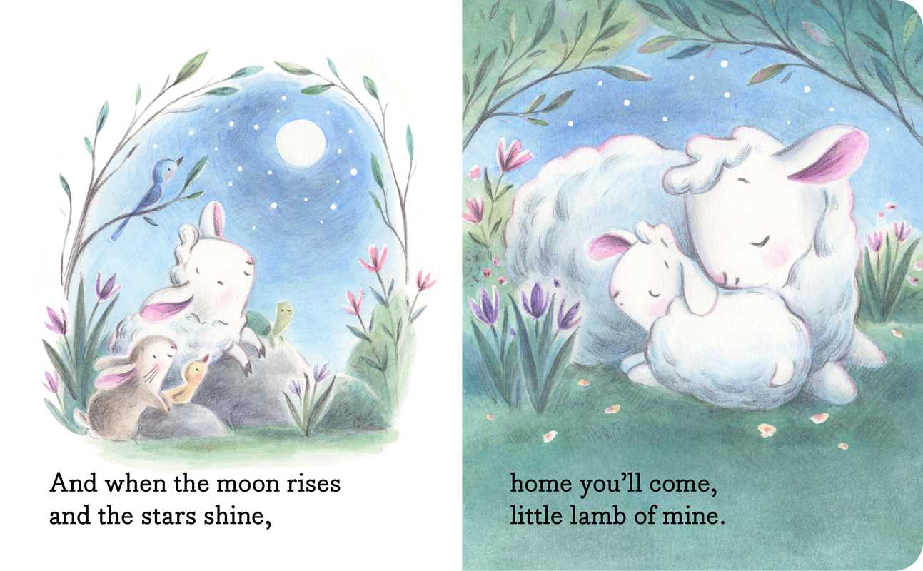 Simon & Schuster - My Little Lamb by Hannah Eliot: Board Books; 12 pages / English