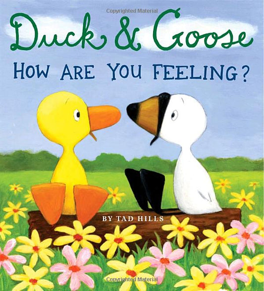 Duck & Goose - How are You Feeling?