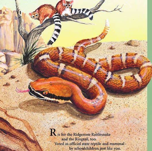 Sleeping Bear Press - G is for Grand Canyon picture book: An ARIZONA Alphabet