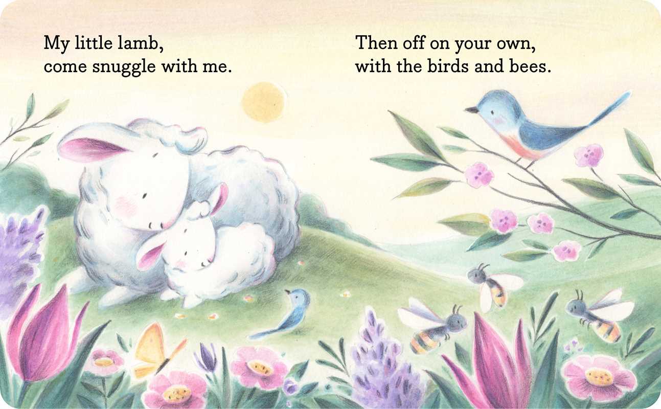 Simon & Schuster - My Little Lamb by Hannah Eliot: Board Books; 12 pages / English
