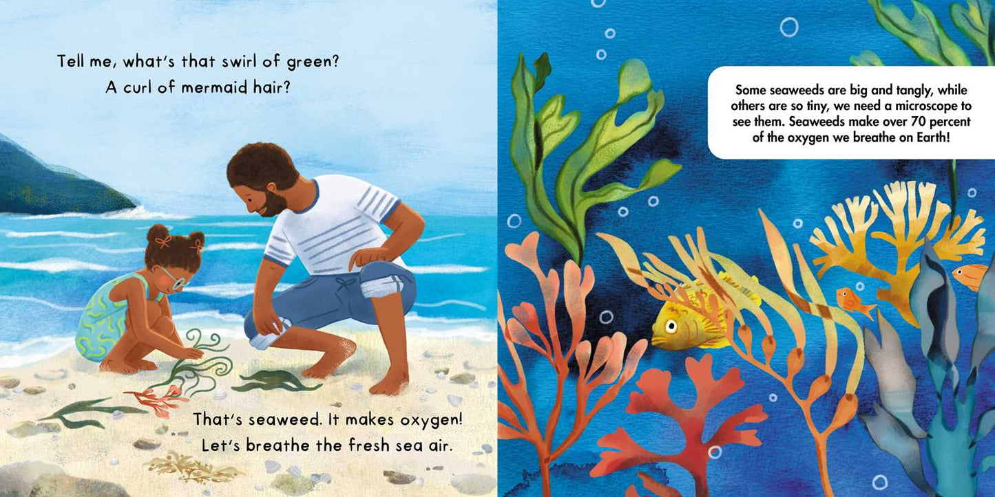 Simon & Schuster - Tell Me About Oceans by Lisa Varchol Perron: Board Books; 22 pages / English