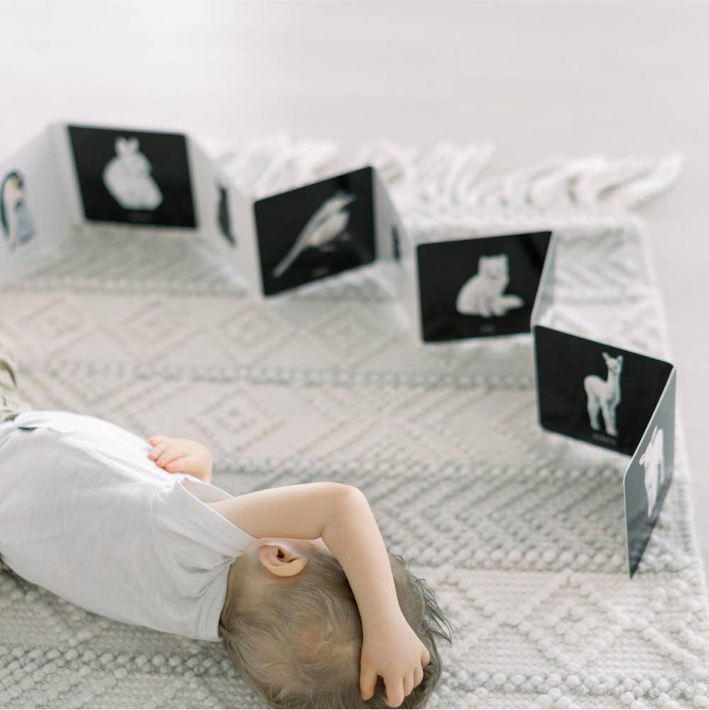 Penguin Random House LLC - Baby's Black And White Book