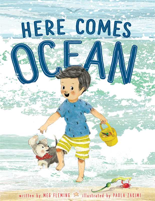 Simon & Schuster - Here Comes Ocean by Meg Fleming: Hardcover; 40 pages / English