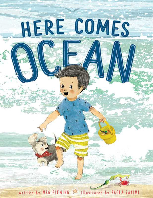 Simon & Schuster - Here Comes Ocean by Meg Fleming: Hardcover; 40 pages / English