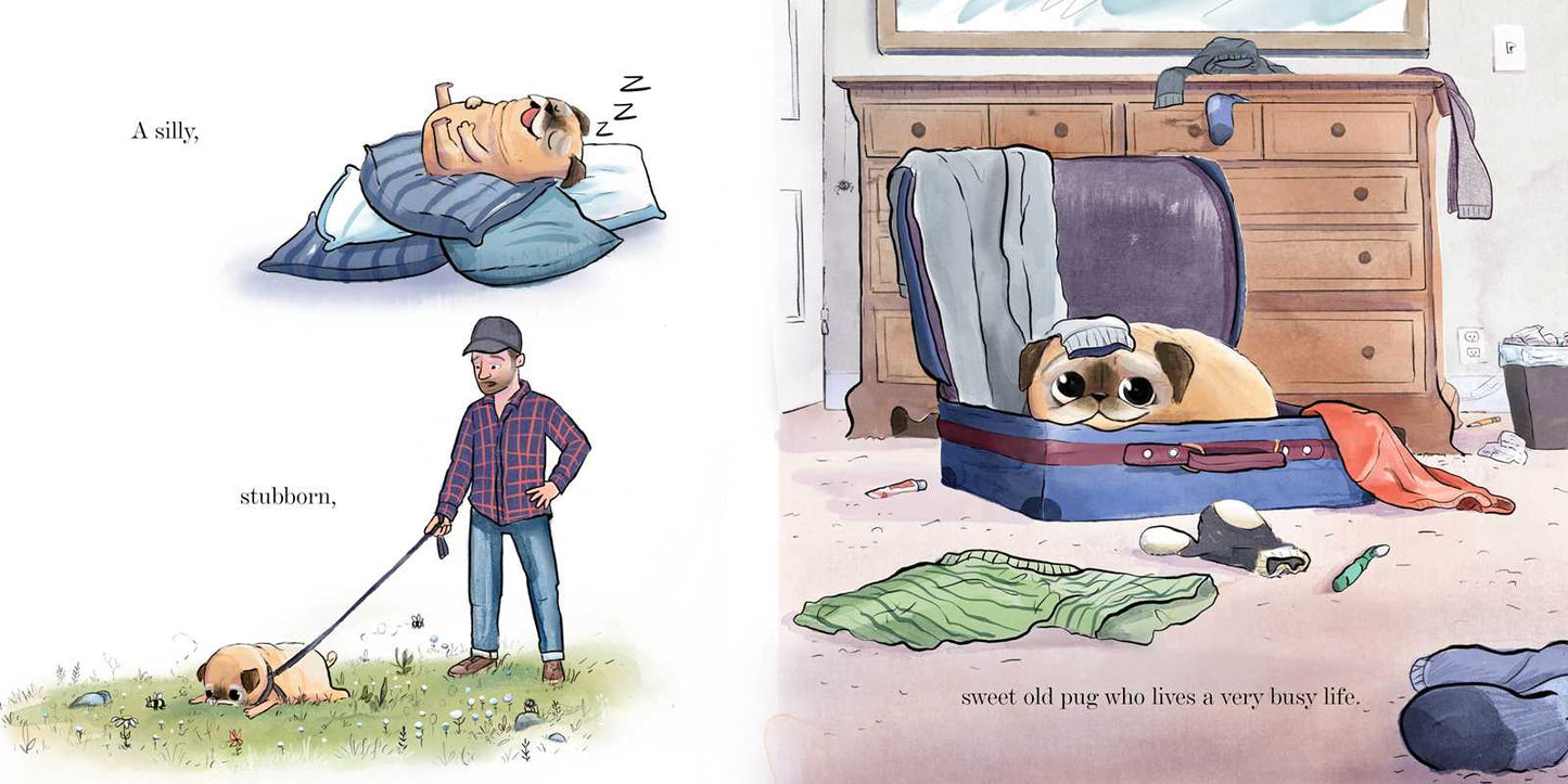 Simon & Schuster - Noodle and the No Bones Day by Jonathan Graziano: Hardcover; 32 pages / English