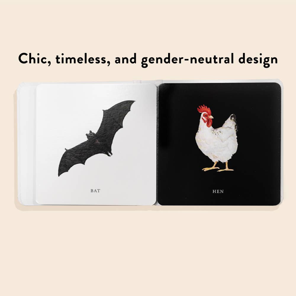 Penguin Random House LLC - Baby's Black And White Book