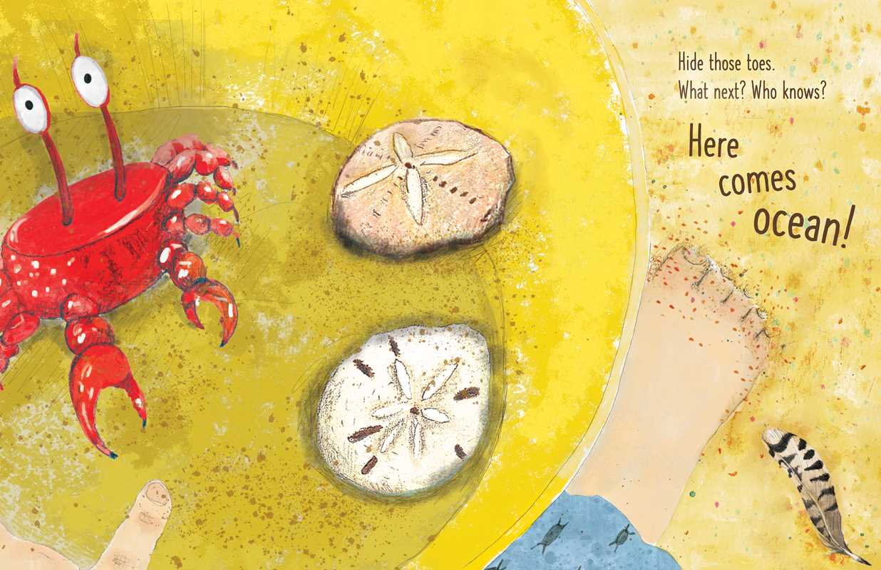 Simon & Schuster - Here Comes Ocean by Meg Fleming: Hardcover; 40 pages / English