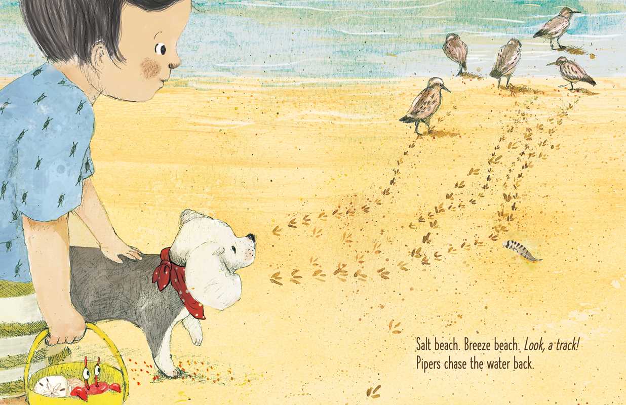 Simon & Schuster - Here Comes Ocean by Meg Fleming: Hardcover; 40 pages / English