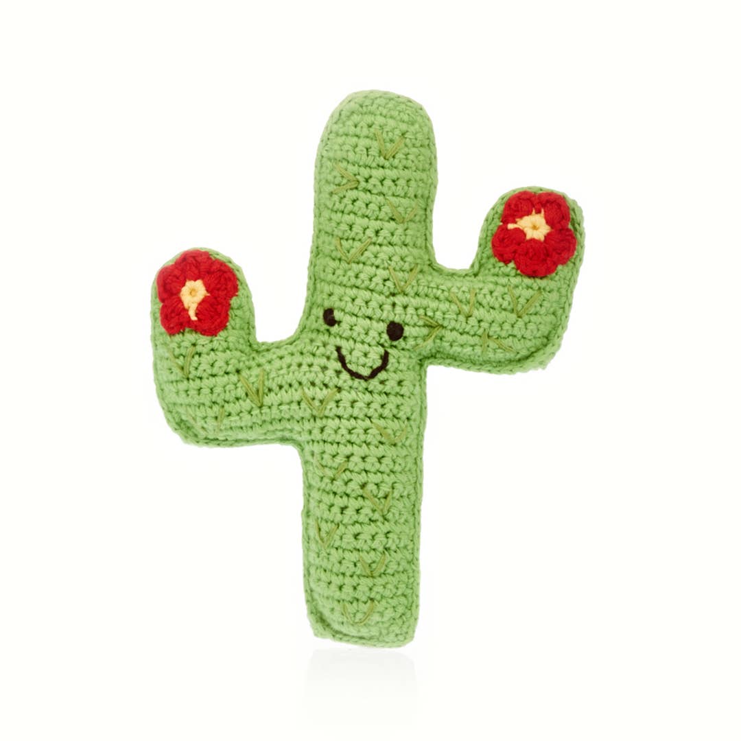 Pebble - Friendly Cactus Buddy